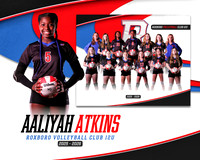 AA RVC 12U Digmate