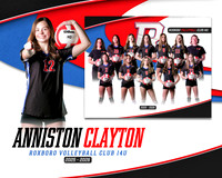 AC RVC 14U Digmate