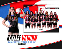 KV RVC 16U Digmate