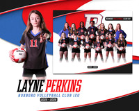 LP RVC 12U Digmate