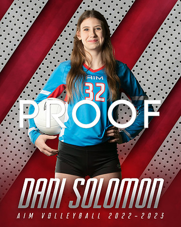 DS3 AIM 8x10