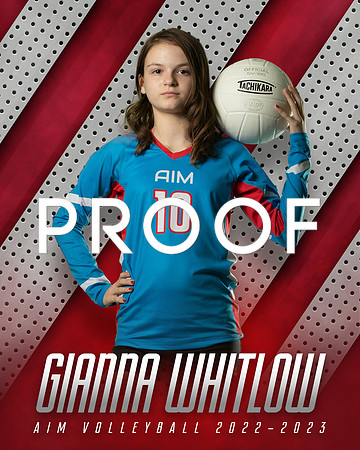 GW AIM 8x10