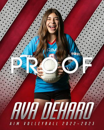 AD AIM 8x10