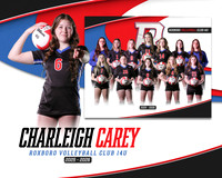 CC RVC 14U2 Digmate