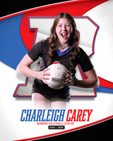 CC RVC 14U2 8x10