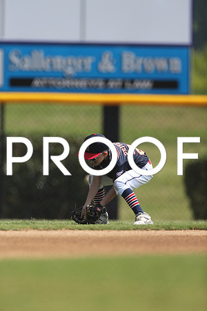 CC7T7737