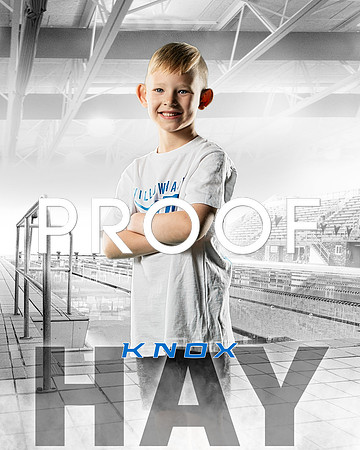 Hay Knox Wave 8x10_