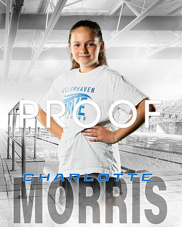 Morris Charlotte Wave 8x10_