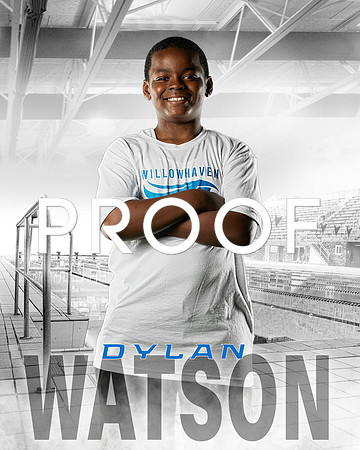 Watson Dylan Wave 8x10_
