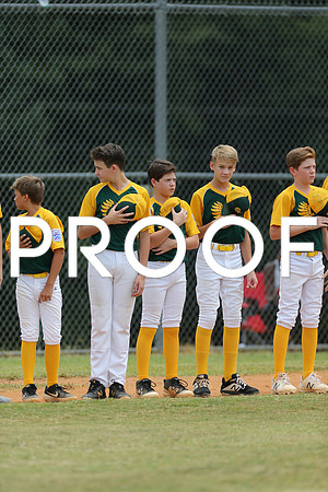 CC7T3359