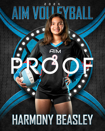 HB AIM 8X10 Veritical