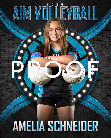 AS AIM 8X10 Veritical copy