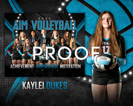 KD AIM 13 team MemoryMate
