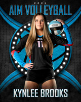 KB AIM 8X10 Veritical copy