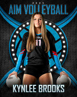 KB AIM 8X10 Veritical copy 2