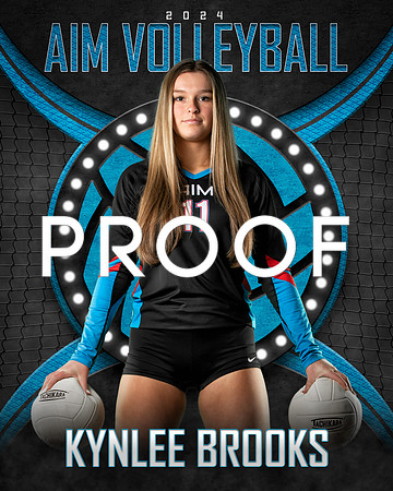 KB AIM 8X10 Veritical copy 2