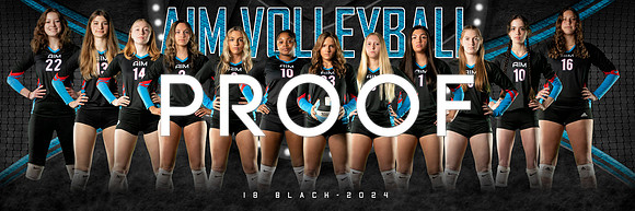 AIM 18_team_1x3_Panoramic