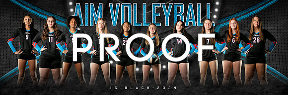 AIM 16_team_1x3_Panoramic