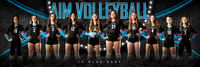 AIM 14Blue_team_1x3_Panoramic