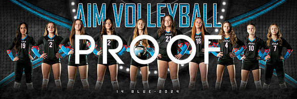 AIM 14Blue_team_1x3_Panoramic