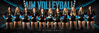 AIM 17_team_1x3_Panoramic