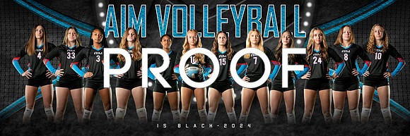 AIM 15_team_1x3_Panoramic