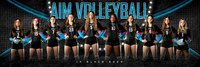 AIM 14Black_team_1x3_Panoramic