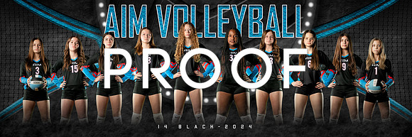 AIM 14Black_team_1x3_Panoramic