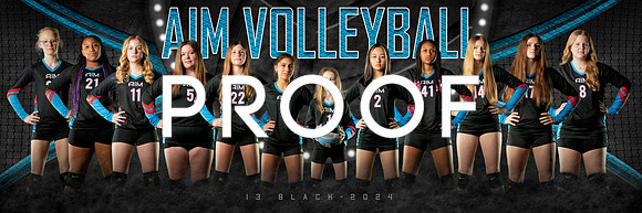 AIM 13_team_1x3_Panoramic