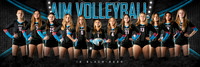 AIM 12_team_1x3_Panoramic