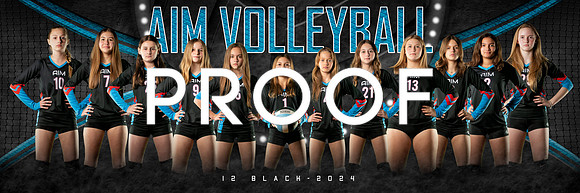AIM 12_team_1x3_Panoramic