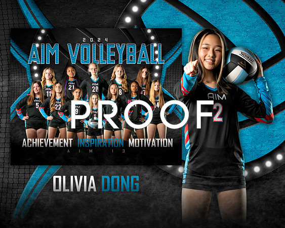 OD AIM 13 team MemoryMate-Edit