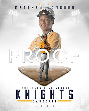 NHS Baseball 2-8