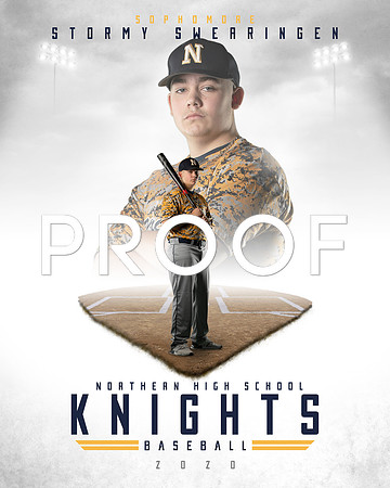 NHS Baseball 2-6