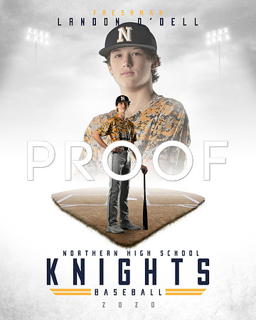 NHS Baseball 2