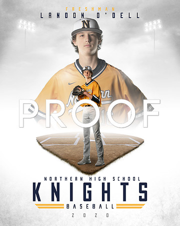 NHS Baseball 2-2