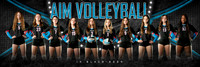 AIM 14Black_team_1x3_Panoramic-Edit