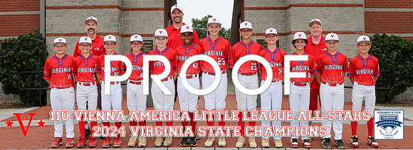 2024 VA 11U TOSC Pano copy