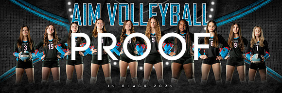 AIM 14Black_team_1x3_Panoramic-Edit-2